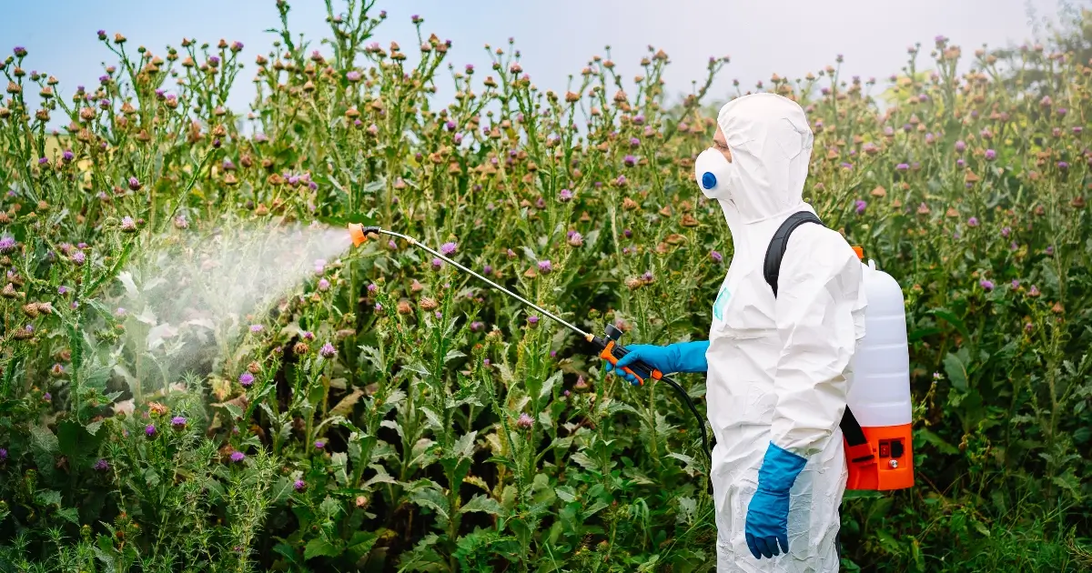 Paraquat and Parkinson’s Disease