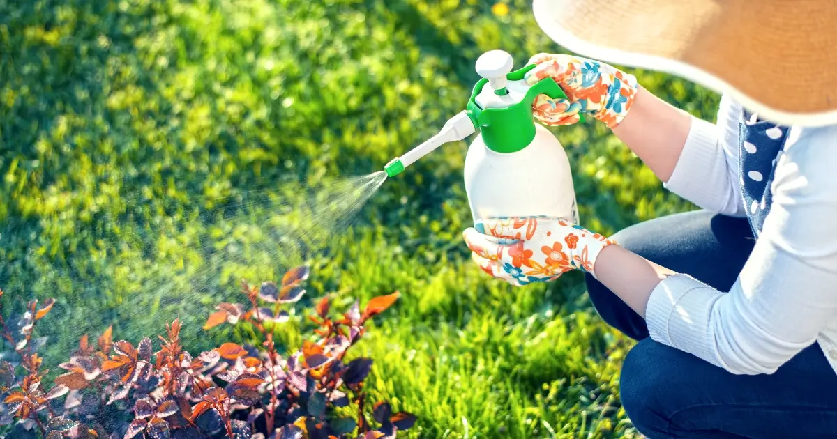 Roundup